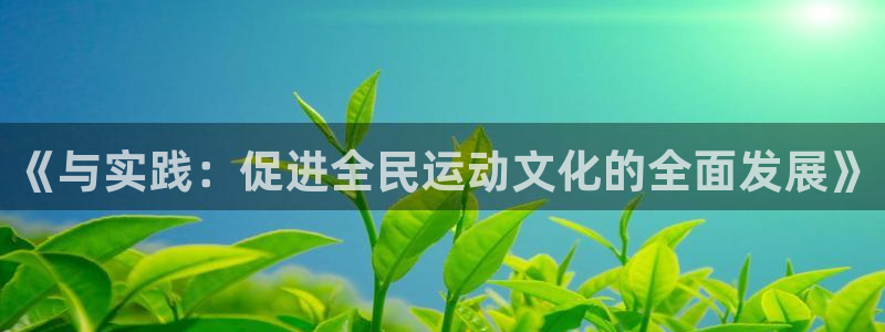 球王会体育：《与实践：促进全民运动文化的全面发展》
