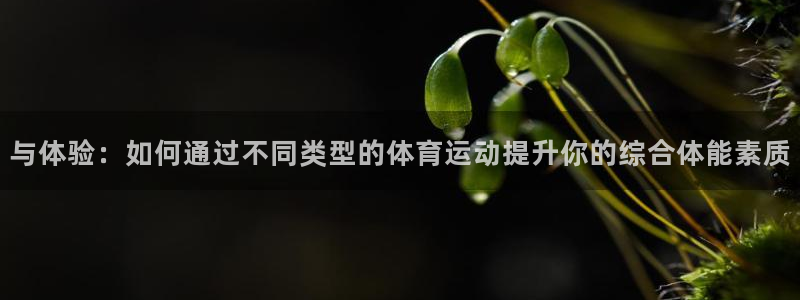 球王会体育：与体验：如何通过不同类型的体育运动提升你的综合体能素质