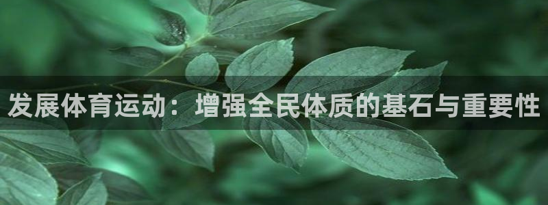 球王会体育：发展体育运动：增强全民体质的基石与重要性