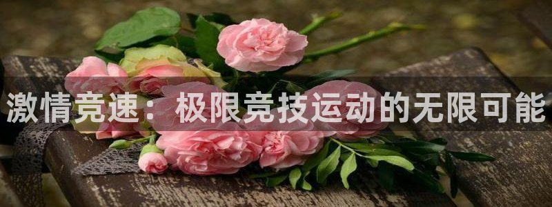 球王会体育：激情竞速：极限竞技运动的无限可能