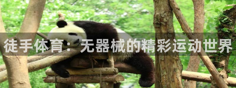 球王会体育：徒手体育：无器械的精彩运动世界
