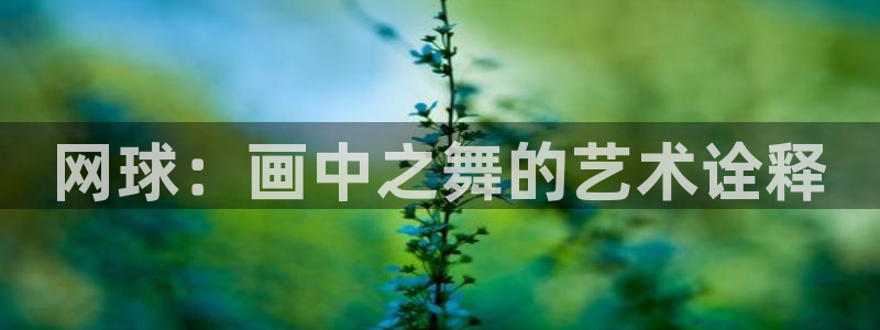 球王会体育：网球：画中之舞的艺术诠释