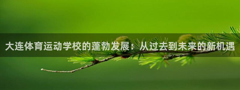 球王会体育：大连体育运动学校的蓬勃发展：从过去到未来的新机遇