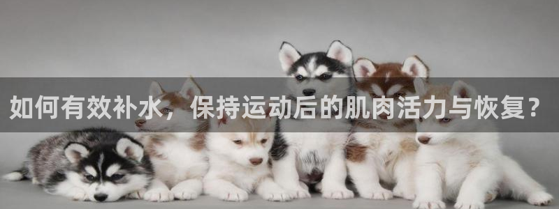 球王会体育：如何有效补水，保持运动后的肌肉活力与恢复？
