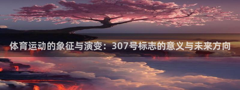 球王会体育：体育运动的象征与演变：307号标志的意义与未来方向